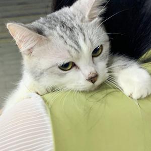 亚洲AV在线观看美女高潮
