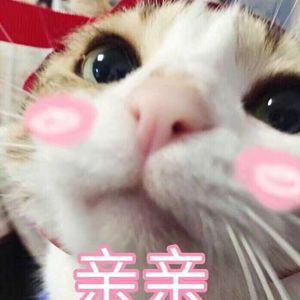 亚洲AV在线观看美女高潮
